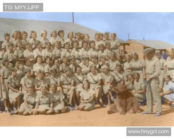 伊朗退役足球明星的传奇故事与辉煌成就回顾