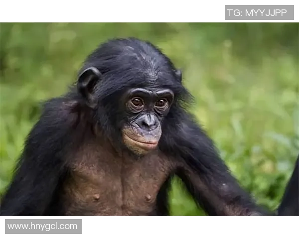 足球明星与他的黑人妻子共同书写的爱情传奇与家庭生活